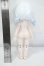 画像3: ボニーバニー6/兎の夢匣:ブランシェ Y-26-08-11-254-WT-ZY (3)