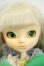 画像1: Pullip/paja Y-26-08-18-384-WT-ZY (1)