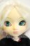 画像1: Pullip/Panda Y-26-08-18-380-WT-ZY (1)