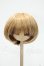 画像1: 9-10inch/ウィッグ Y-26-08-25-104-WT-ZY (1)