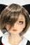 画像1: DearSD/まや Y-26-08-25-155-WT-ZY (1)
