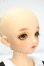 画像3: DearSD/レオ Y-26-08-25-154-WT-ZY (3)
