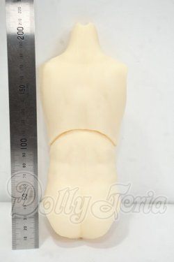 画像2: fiorista！男の子筋肉外皮パーツ上半身＆下半身 Y-26-08-25-294-WT-ZY