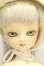 画像1: MSD/マギー Y-26-08-25-168-WT-ZY (1)