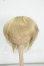 画像1: 6-7inch/ウィッグ Y-26-09-01-047-WT-ZY (1)