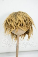 9-10inch/ウィッグ Y-26-09-01-046-WT-ZY