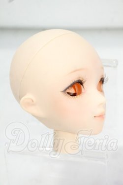 画像2: パラボックス/ローラ:彩色ヘッドF Y-26-09-01-208-WT-ZY