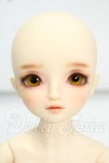 SDM男の子/コーディネートモデルF-58 Y-26-09-01-216-WT-ZY