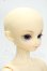 画像2: SD男の子/凌ヘッド+星間学寮ミシェルボディ Y-26-09-08-241-WT-ZY (2)