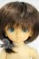 画像1: 幼SD/蓮花丸 Y-26-09-08-248-WT-ZY (1)