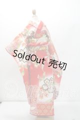 SD/OF:着物セット Y-26-09-01-278-WT-ZY