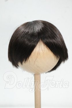 画像1: 8-9inch/ウィッグ Y-26-09-08-067-WT-ZY