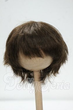 画像1: 7-8inch/ウィッグ Y-26-09-08-109-WT-ZY
