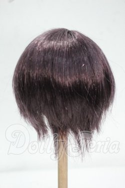 画像2: 8-9inch/ウィッグ Y-26-09-08-173-WT-ZY