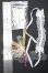 画像2: SDM＆MSD/OF:小物 Y-26-09-22-268-WT-ZY (2)