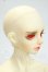 画像2: LUTS/Senior65 Delf BURGUNDY Y-26-09-15-001-WT-ZY (2)