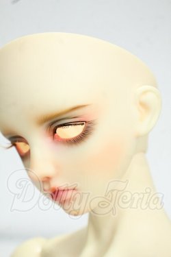 画像5: LUTS/Senior65 Delf BURGUNDY Y-26-09-15-002-WT-ZY