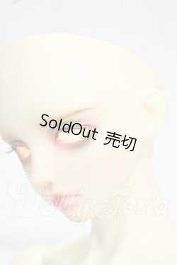 画像5: LUTS/Senior65 Delf BURGUNDY Y-26-09-15-002-WT-ZY