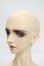 画像3: SWITCH/Humming Dolly 70boy+SOHWA NUIT様メイクヘッド Y-26-09-15-004-WT-ZY (3)