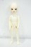 画像4: WithDoll/Ivy:KWD 27cm Girl Y-26-09-15-006-WT-ZY (4)