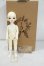 画像6: WithDoll/Ivy:KWD 27cm Girl Y-26-09-15-006-WT-ZY (6)