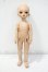 画像5: WithDoll/Ivy:KWD 27cm Girl Y-26-09-29-249-WT-ZY (5)