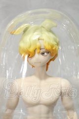 悸動瞬息 シチリアの追憶/西西里往事 エドアルド ゴールデンレトリバー Y-26-09-15-251-WT-ZY