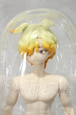 画像1: 悸動瞬息 シチリアの追憶/西西里往事 エドアルド ゴールデンレトリバー Y-26-09-15-251-WT-ZY