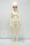 画像5: Myoudoll/Michelle Y-26-09-15-300-WT-ZY (5)