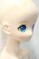 画像4: azone/Alice Time of grace II~A dream of princess~ アゾンダイレクトストア限定ver. Y-26-09-15-298-WT-ZY (4)
