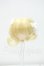 画像1: 4.5inch/ウィッグ Y-26-09-22-291-WT-ZY (1)