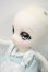 画像3: DOLK×MellowDrops×ふにゃほわ×DOLLI POP/NYANG 天使ねこメイド Y-26-09-22-002-WT-ZY (3)