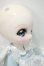 画像4: DOLK×MellowDrops×ふにゃほわ×DOLLI POP/NYANG 天使ねこメイド Y-26-09-22-002-WT-ZY (4)