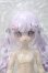 画像1: 半夏文創 x ちょん＊「Twinkle Polaris」 Y-26-09-22-020-WT-ZY (1)
