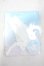 画像1: come4free/OF ボニーバニー衣装セット Y-26-09-29-181-WT-ZY (1)