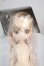 画像2: azone/Toy's Sugar Party* × SugarCups／ ビスケティーナ〜FANCY TOY PARTY〜(Dollybird限定販売) Y-26-09-29-212-WT-ZY (2)