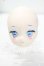 画像1: DD/DDH-29　カスタムメイクヘッド Y-26-09-29-229-WT-ZY (1)
