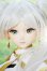 画像1: DDS/フリーレン 2.0 Y-26-09-29-297-WT-ZY (1)