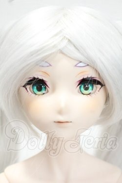 画像2: DDS/フリーレン 2.0 Y-26-09-29-297-WT-ZY