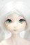 画像2: DDS/フリーレン 2.0 Y-26-09-29-297-WT-ZY (2)
