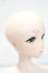 画像4: DDS/フリーレン 2.0 Y-26-09-29-297-WT-ZY (4)