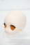 画像3: DD/DDH-27ヘッド Y-26-09-29-328-WT-ZY (3)