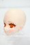 画像3: DOLLCEDOLL/DC60-03　カスタムヘッド Y-26-09-29-329-WT-ZY (3)