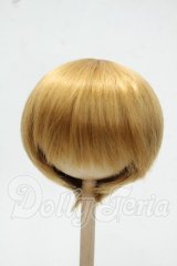 9-10inch/ウィッグ Y-26-10-06-192-WT-ZY