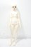画像4: MYOUDOLL/1/4/Delia Y-26-09-29-300-WT-ZY (4)