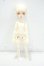 画像5: iMda doll/2.6 Dorothy Y-26-10-06-204-WT-ZY (5)