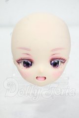 ドリームドルフィー/DDH-01:カスタムヘッド Y-26-09-29-338-WT-ZY