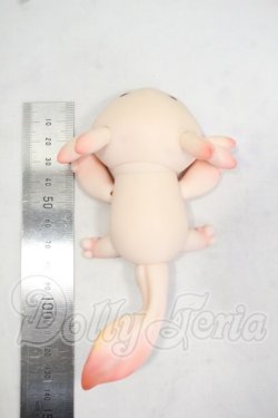 画像2: FATEMOONS/六角竜:PUU Y-26-09-29-346-WT-ZY