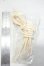 画像2: DOLLMORE/5mm Dollmore string(Skin color)-2M Y-26-10-06-050-WT-ZY (2)
