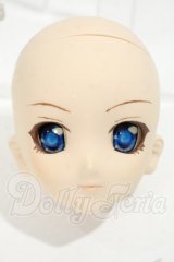 DDH-06/カスタムヘッド　フレッシュ Y-26-09-29-006-WT-ZY